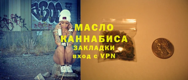 индика Краснотурьинск