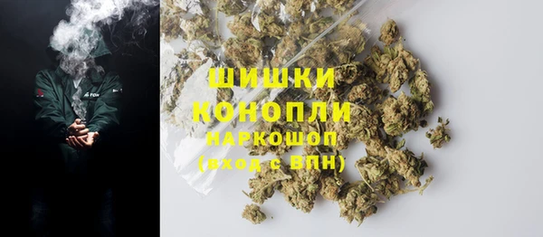 прущие грибы Коряжма