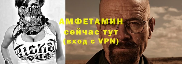 индика Краснотурьинск
