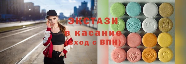 индика Краснотурьинск