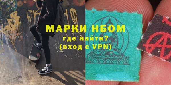 прущие грибы Коряжма