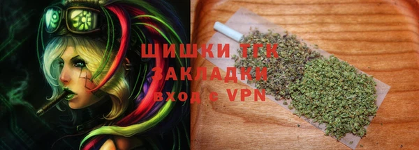 соль ск Краснослободск