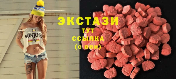 индика Краснотурьинск