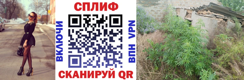 Купить где  Копейск  Шишки марихуана VHQ 